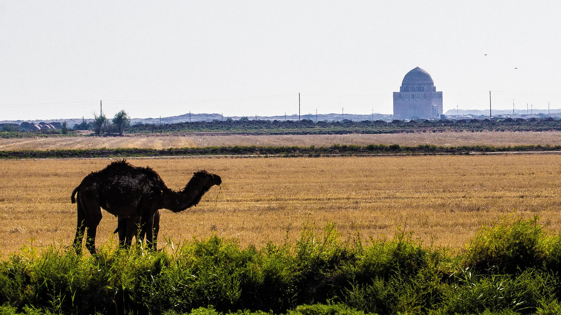 Turkmenistan travel image #2 - Explore Ancient Merv with TransCaspian Tours
