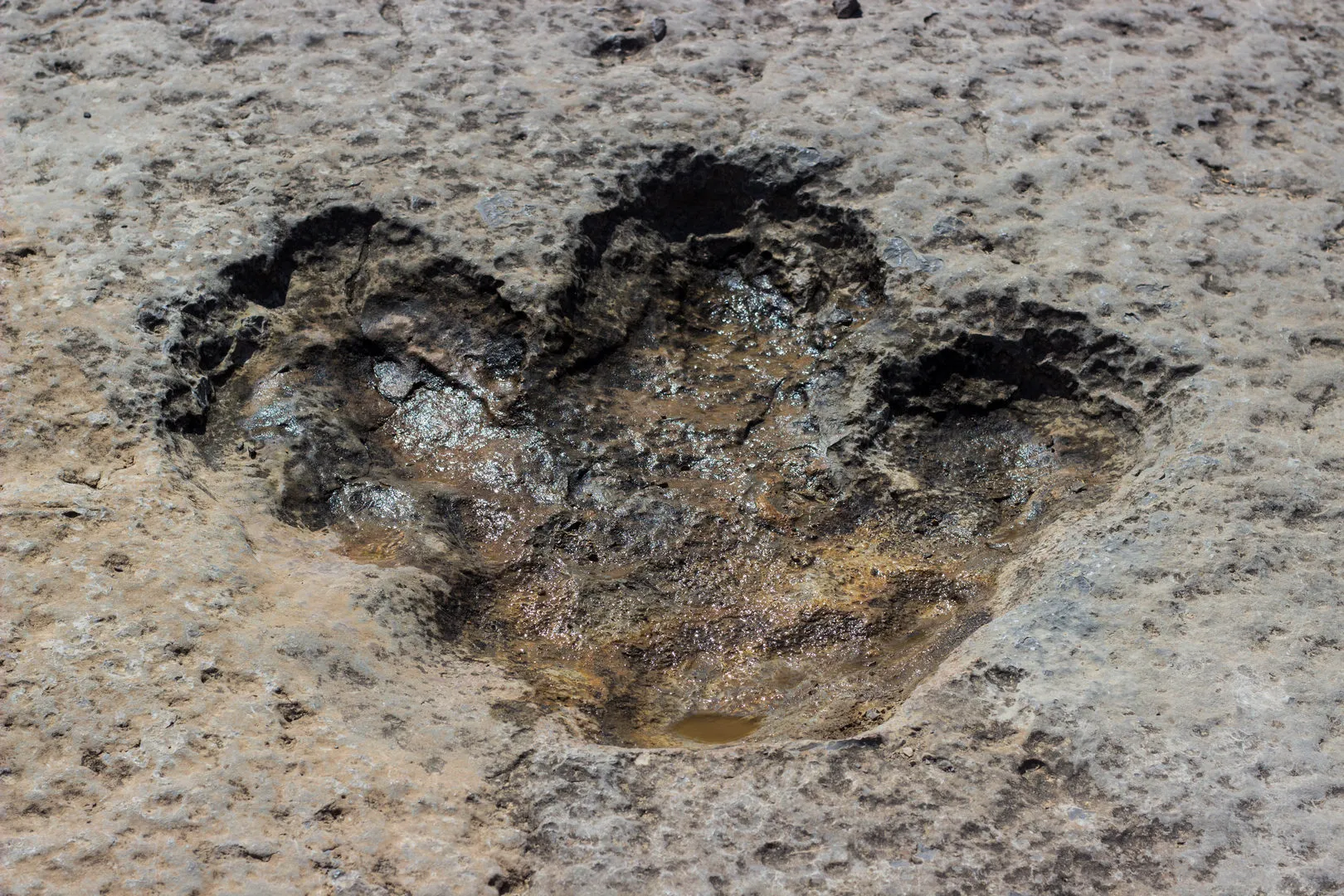 Turkmenistan travel image #1 - Explore Dinosaur Plateau with TransCaspian Tours